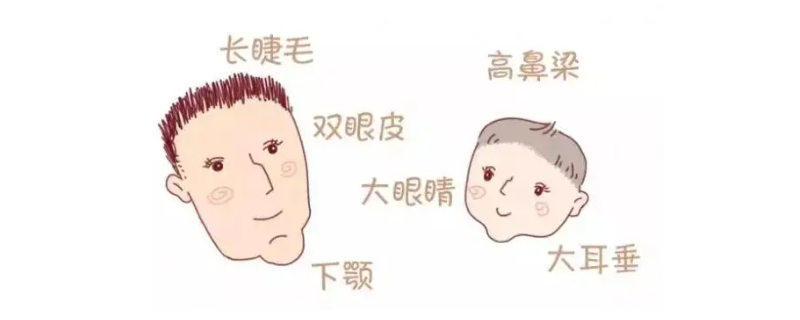 描写人物外貌的段落，描写人物外貌的段落摘抄