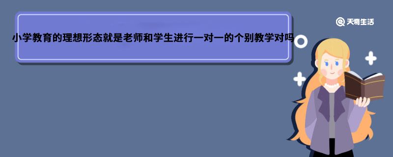 小学教育的理想形态就是老师和学生进行一对一的个别教学对吗 小学教育的理想形态是什么