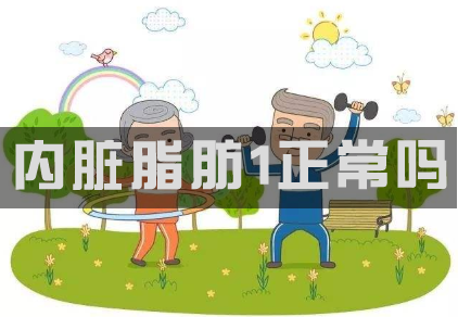 内脏脂肪1正常吗，，内脏脂肪多少才是标准