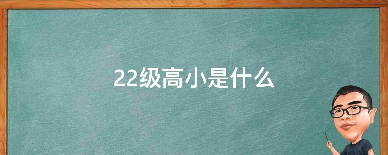 22级高小是什么