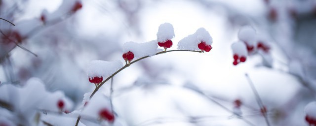 24节气冬至是什么意思 24节气冬至指的是什么