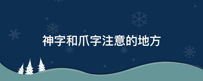 神字和爪字注意的地方