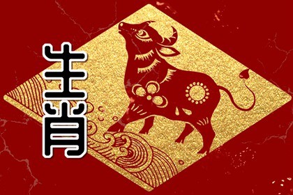 2023年属牛几月份结婚好 二月结婚非常理想