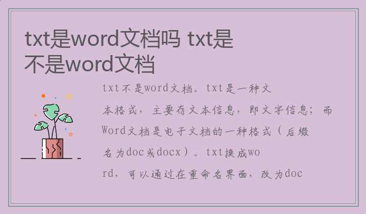 txt是word文档吗,txt是不是word文档