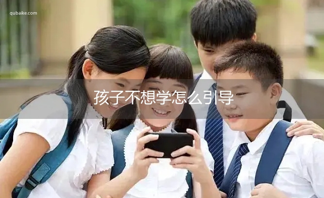 孩子不想学怎么引导