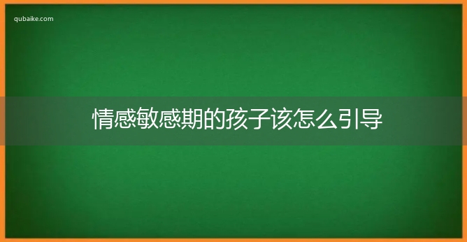 情感敏感期的孩子该怎么引导