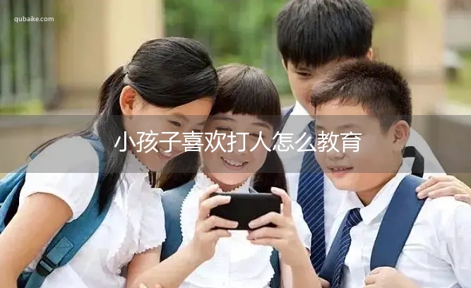 小孩子喜欢打人怎么教育