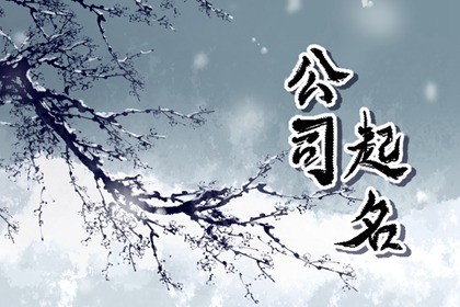 农业科技有限公司起名 富有创意的公司名