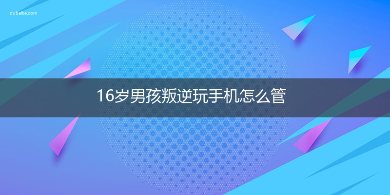 16岁男孩叛逆玩手机怎么管