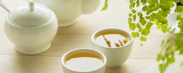 白鸡冠是什么茶，白鸡冠属于什么茶