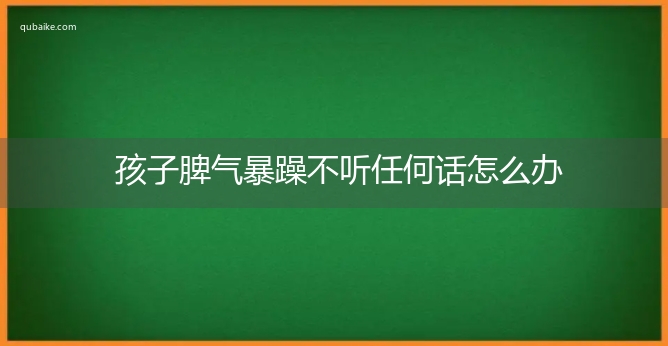 孩子脾气暴躁不听任何话怎么办