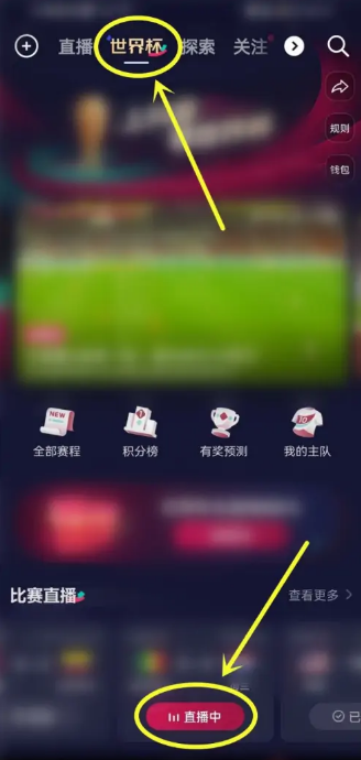 抖音看世界杯字幕怎么弄？怎么设置？抖音世界杯直播字幕怎么开？