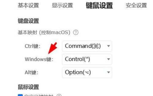 ToDesk如何配置windows键,ToDesk配置windows键的方法