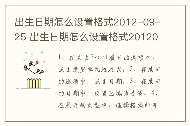 出生日期怎么设置格式2012-09-25,出生日期怎么设置格式20120925