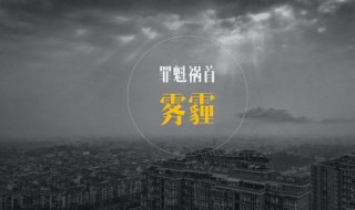 雾霾天气吃什么好