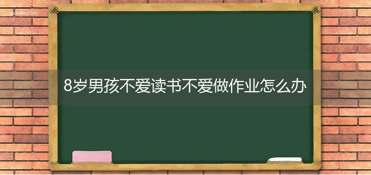 8岁男孩不爱读书不爱做作业怎么办