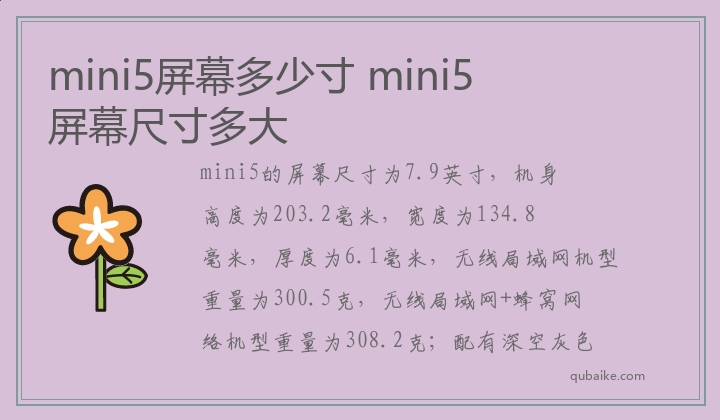 mini5屏幕多少寸,mini5屏幕尺寸多大