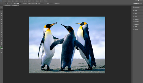 Photoshop,CS6如何减少图片杂色,减少图片杂色的方法