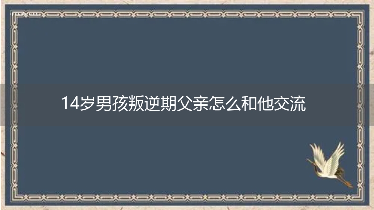 14岁男孩叛逆期父亲怎么和他交流