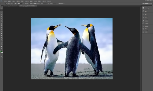 Photoshop,CS6如何减少图片杂色,减少图片杂色的方法