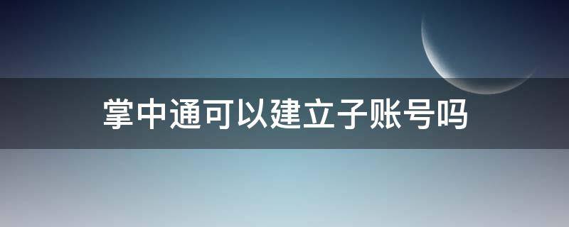 掌中通可以建立子账号吗