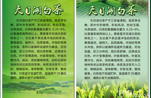 天目湖白茶的功效与作用  天目湖白茶的储存方法