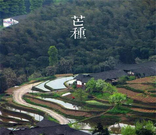 你知道芒种是什么意思吗 芒种养生你需要知道这些