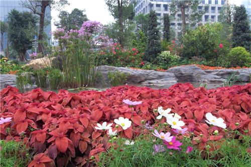 花城是哪个城市 花城是怎么得名的