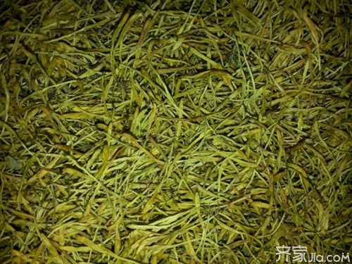 山银花的功效与作用 山银花与金银花的区别