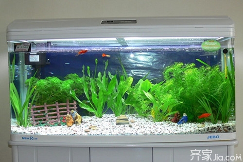 水族箱过滤器制作方法与作用