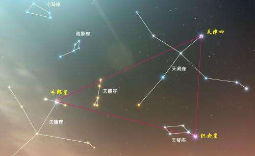 牛郎星属于什么星座啊 织女星属于什么星座