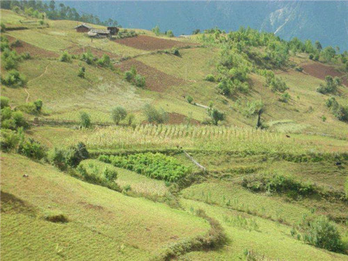 农村土地承包合同范本   土地承包合同怎么写才规范