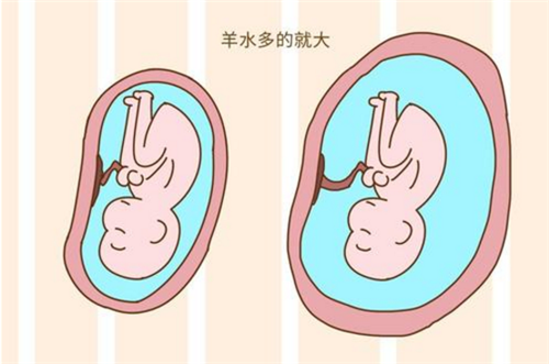 胎儿在几个月容易畸形,怀孕一个月吃什么好