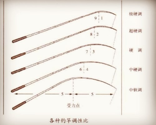 鱼竿什么牌子的好2018 喜欢钓鱼的就点进来看看