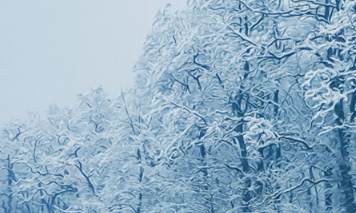 2023大雪节气下雨来年什么兆头_大雪节气下雨有什么说法