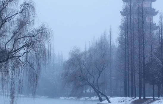 2022小雪节气时成都下雪了吗_成都一般几月份下雪