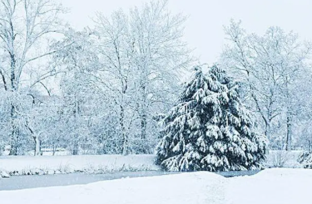 2023年1月上海会下雪吗_上海每年什么时候下雪