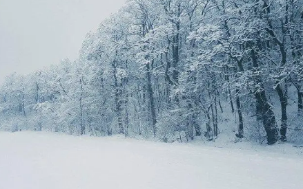 今年元旦北京会下雪吗2023_北京元旦天气怎么样