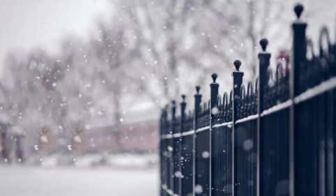 12月份去东北能看见雪吗_几月份适合来东北看雪