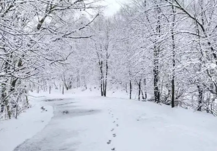 正月里下雪是好兆头吗_正月里下雪有什么说法