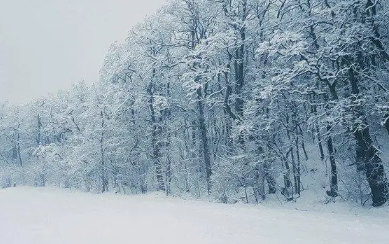 2023苏州过年还有雪吗_春节期间去苏州去哪玩好