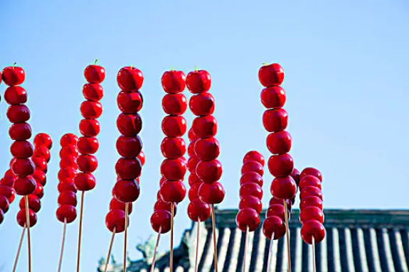 冰糖葫芦是凉性的还是热性的_冰糖葫芦是酸性还是碱性食物