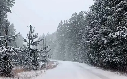 2023春节下雪是不是瑞雪_春节下雪有没有什么说法