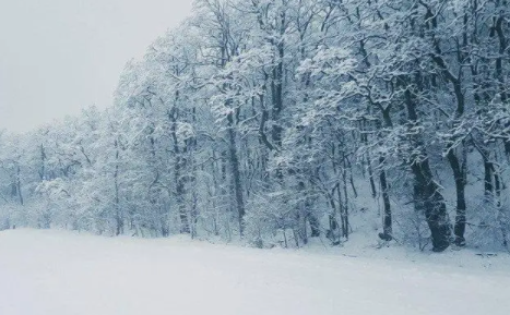 2023北海道冬天一直有雪吗_北海道的雪会持续到什么时候