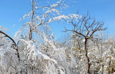 今年元旦北京会下雪吗2023_北京元旦天气怎么样