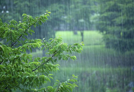 2023年一年的雨水怎么样_2023年降雨怎么样多不多