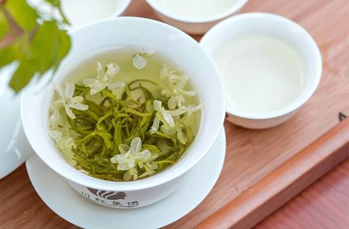 茉莉花茶具有哪些营养价值 茉莉花茶功效是什么