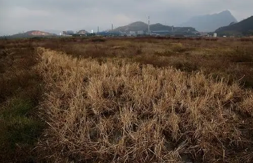 2028年土地到期后怎么调整