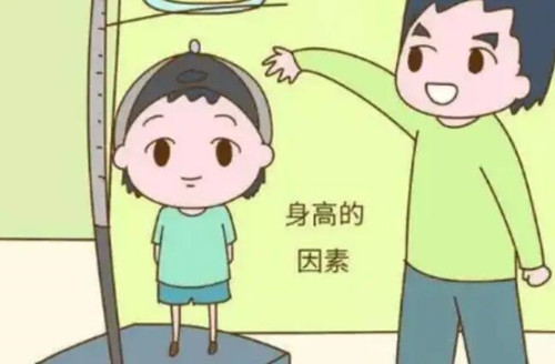 孩子吃什么可以长高个子