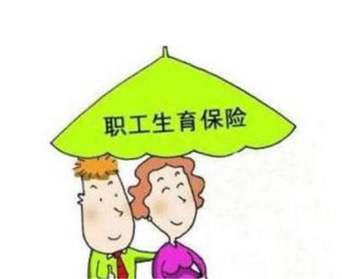 生育险怎么报销，可以报销多少